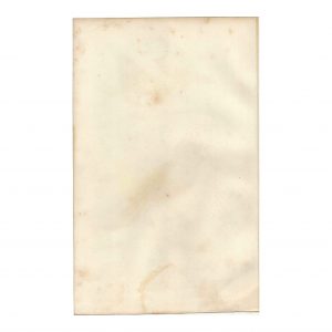 1849 E. Travies - Mésange Bleue et Ramphocèle Flamboyant