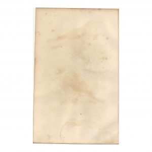 1849 E. Travies - Traquet Stapazin et Rubiette Calliope