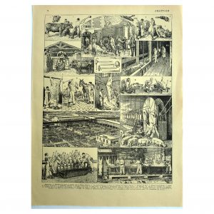 1928 L. Bombled - Abattoir