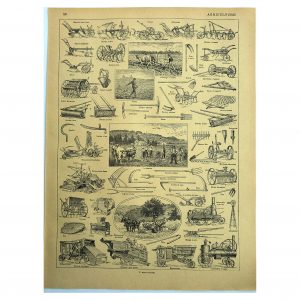 1928 M. Dessertenne - Agriculture