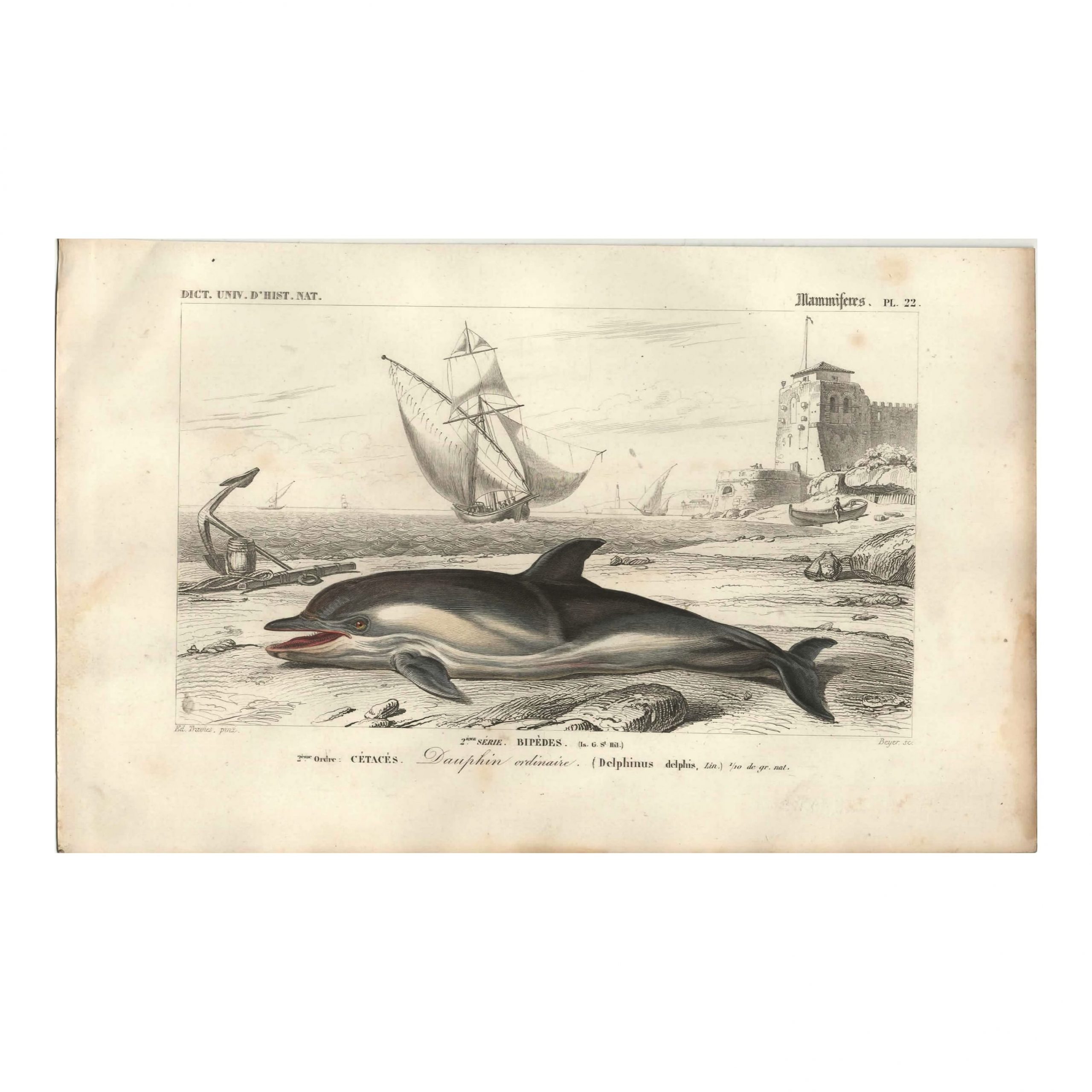 1849 E.Travies - Dauphin