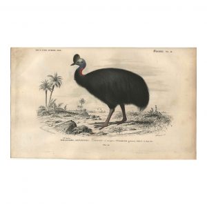 1849 E.Travies - Casoar